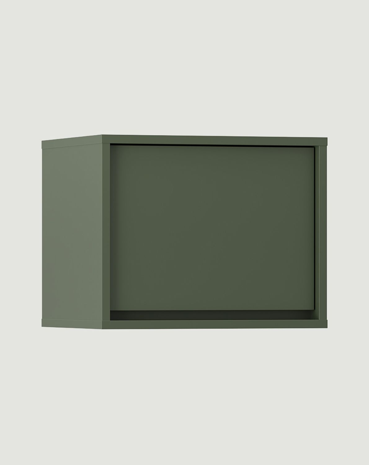 RAGNAR RA13 armoire suspendue
Couleur : vert cyprès