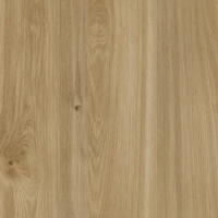 Honey Oak
